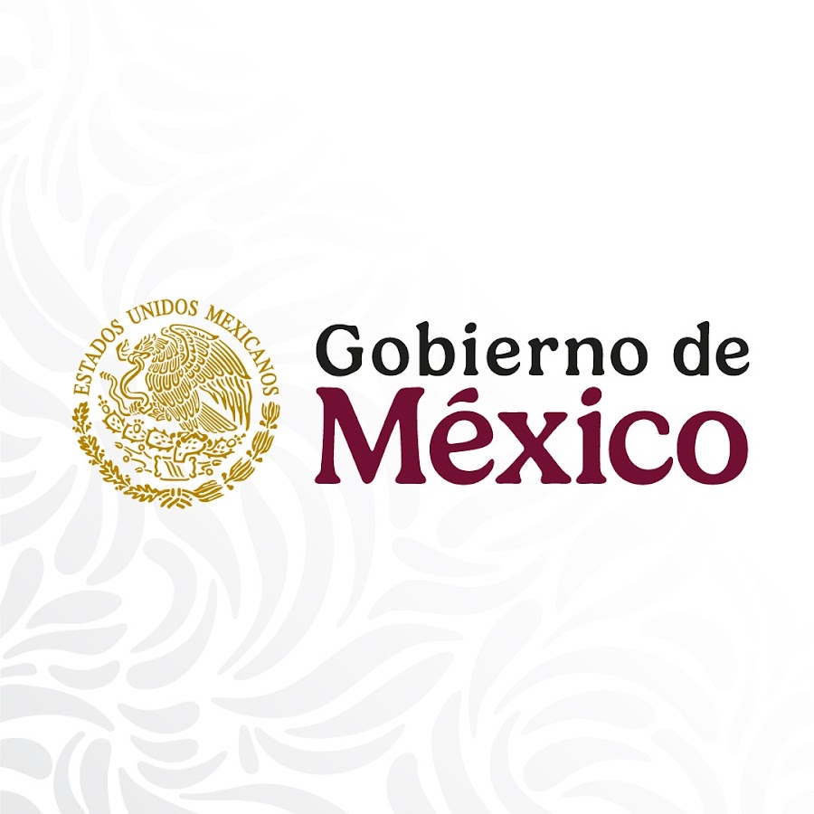 Nueva Ley de Adquisiciones, Arrendamientos y Servicios del Sector Público SHF0001